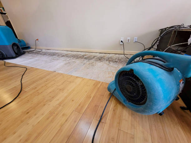 Professional Water Damage Repair technician working in Valley Springs, CA